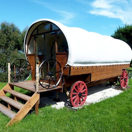 Wacky Stays - Unique Farm-Stay Glamping Rentals, Free Animal Feeding Tours Kaikoura Dış mekan fotoğraf