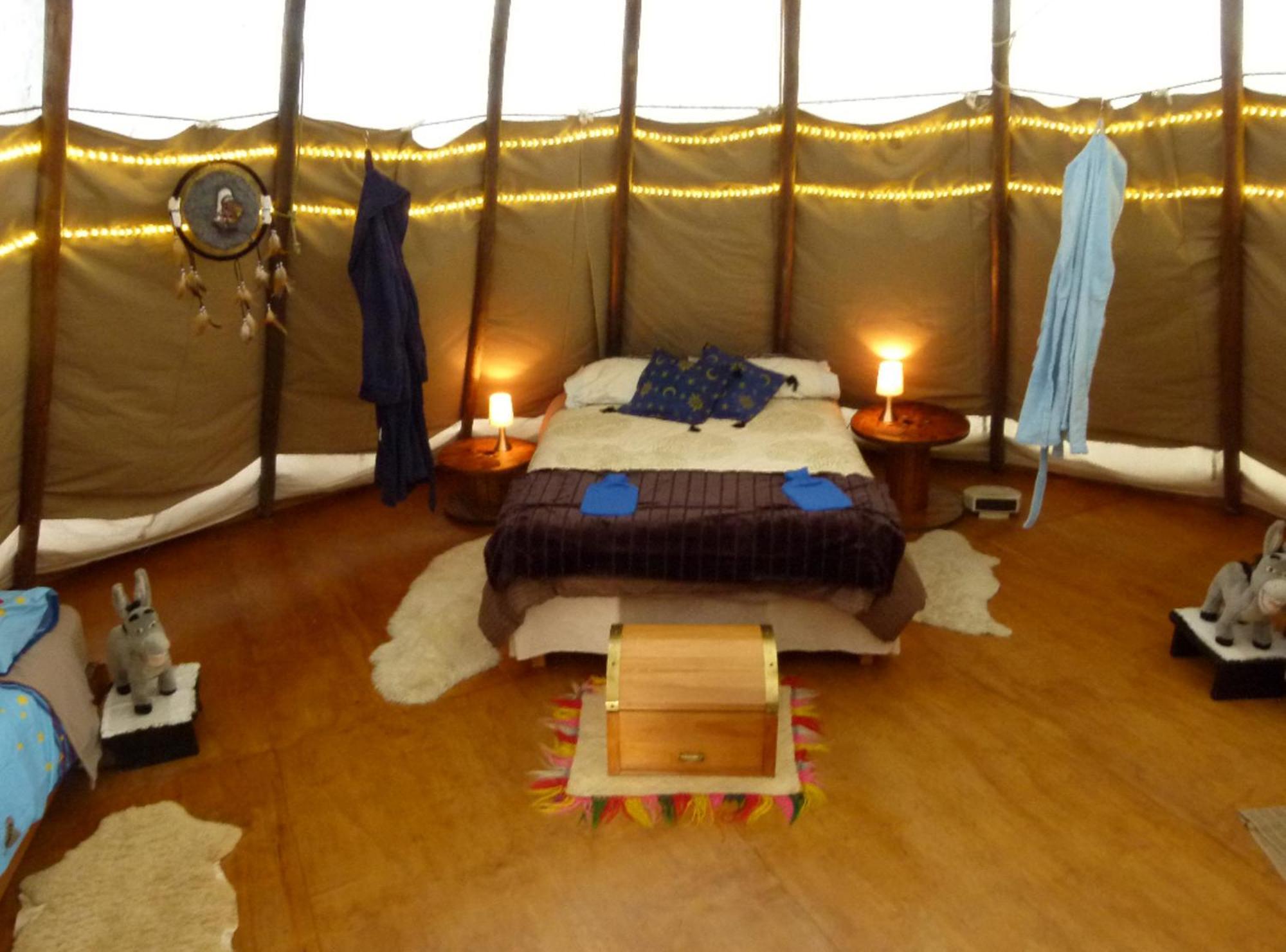 Wacky Stays - Unique Farm-Stay Glamping Rentals, Free Animal Feeding Tours Kaikoura Dış mekan fotoğraf