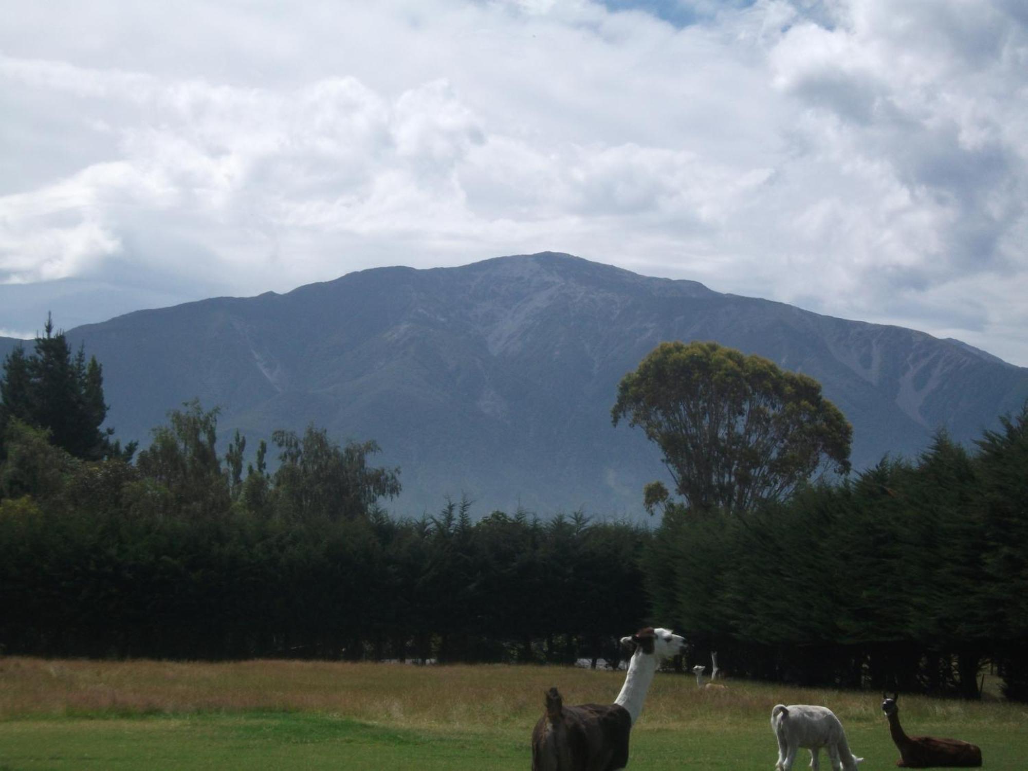 Wacky Stays - Unique Farm-Stay Glamping Rentals, Free Animal Feeding Tours Kaikoura Dış mekan fotoğraf
