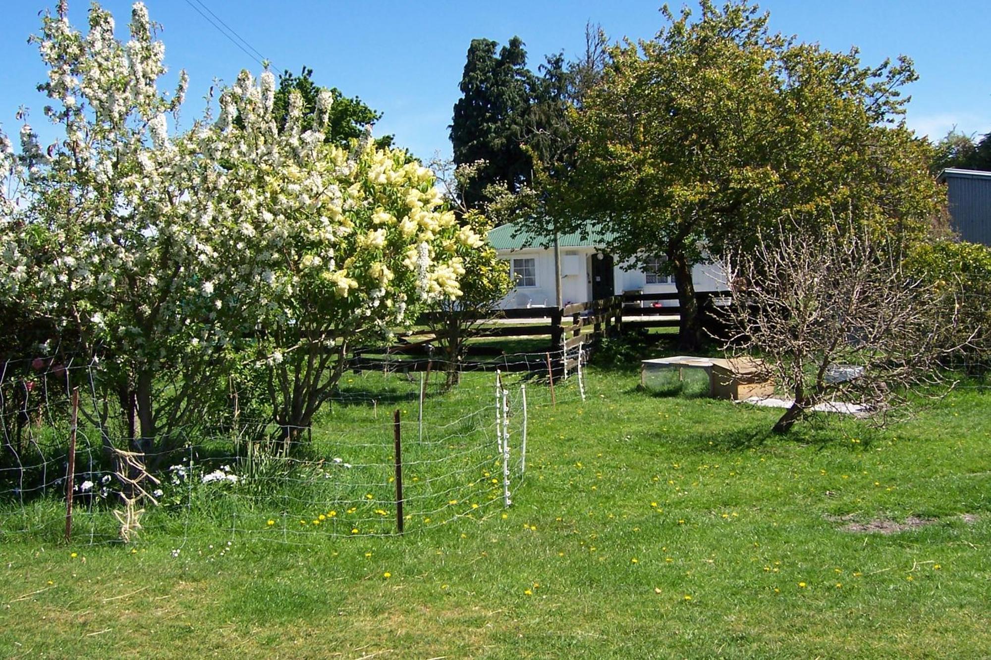 Wacky Stays - Unique Farm-Stay Glamping Rentals, Free Animal Feeding Tours Kaikoura Dış mekan fotoğraf
