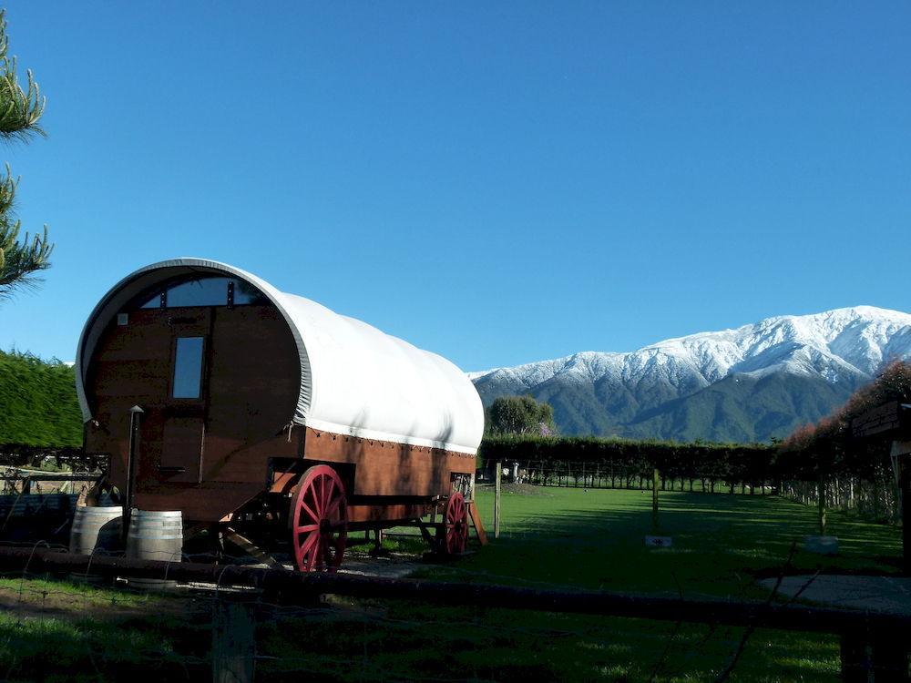Wacky Stays - Unique Farm-Stay Glamping Rentals, Free Animal Feeding Tours Kaikoura Dış mekan fotoğraf