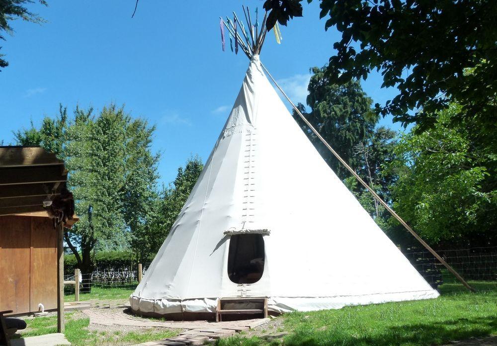 Wacky Stays - Unique Farm-Stay Glamping Rentals, Free Animal Feeding Tours Kaikoura Dış mekan fotoğraf