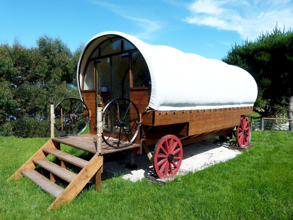 Wacky Stays - Unique Farm-Stay Glamping Rentals, Free Animal Feeding Tours Kaikoura Dış mekan fotoğraf