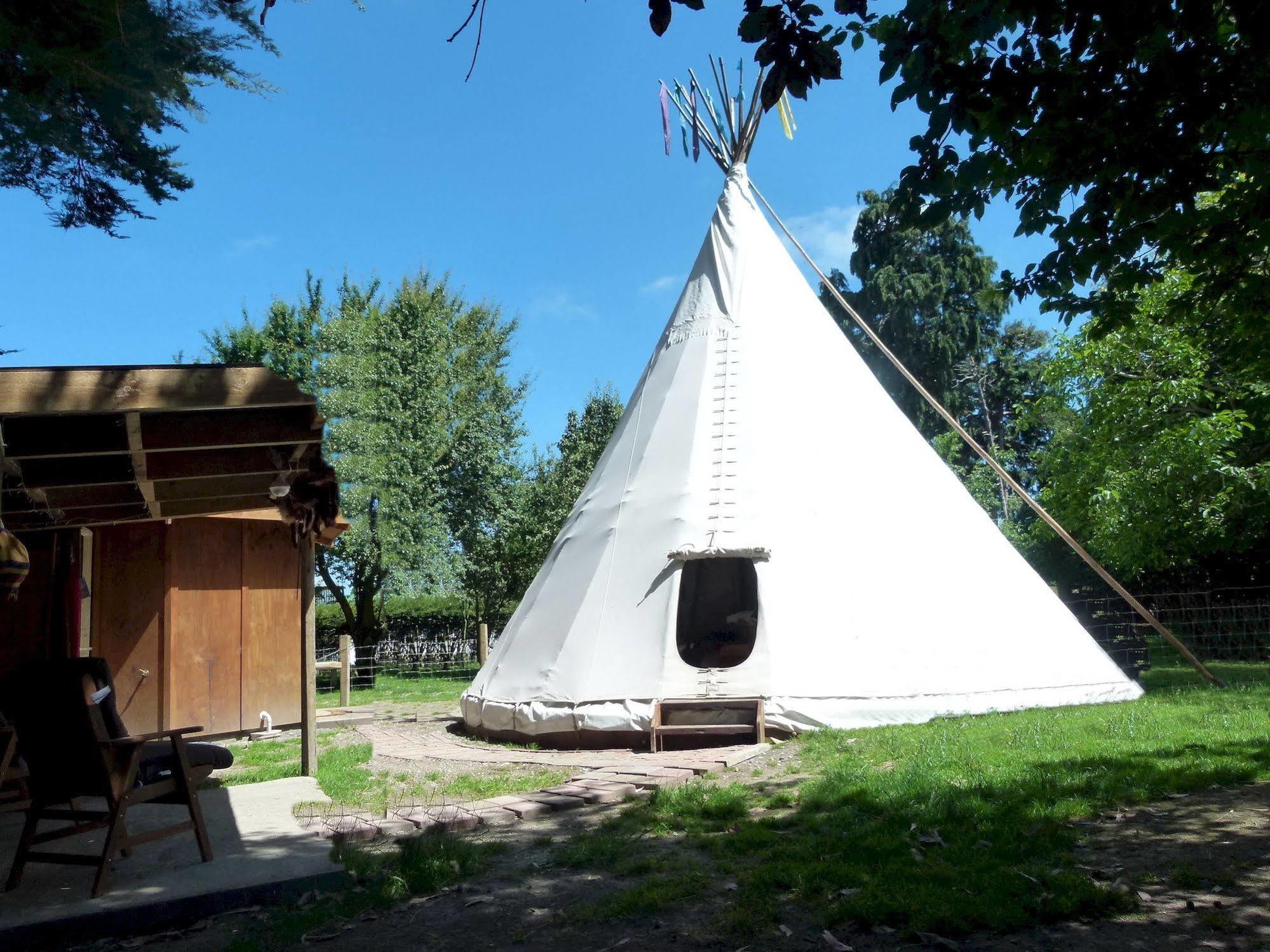 Wacky Stays - Unique Farm-Stay Glamping Rentals, Free Animal Feeding Tours Kaikoura Dış mekan fotoğraf