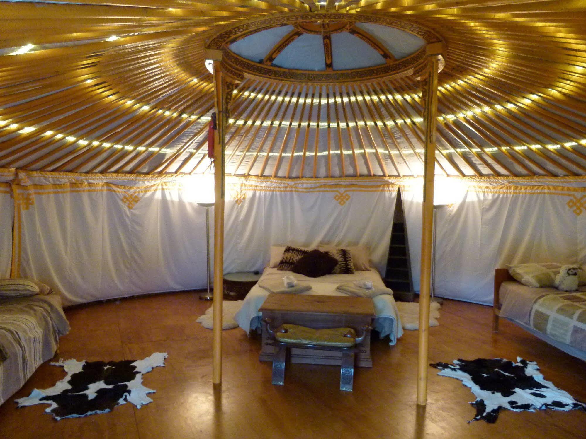 Wacky Stays - Unique Farm-Stay Glamping Rentals, Free Animal Feeding Tours Kaikoura Dış mekan fotoğraf