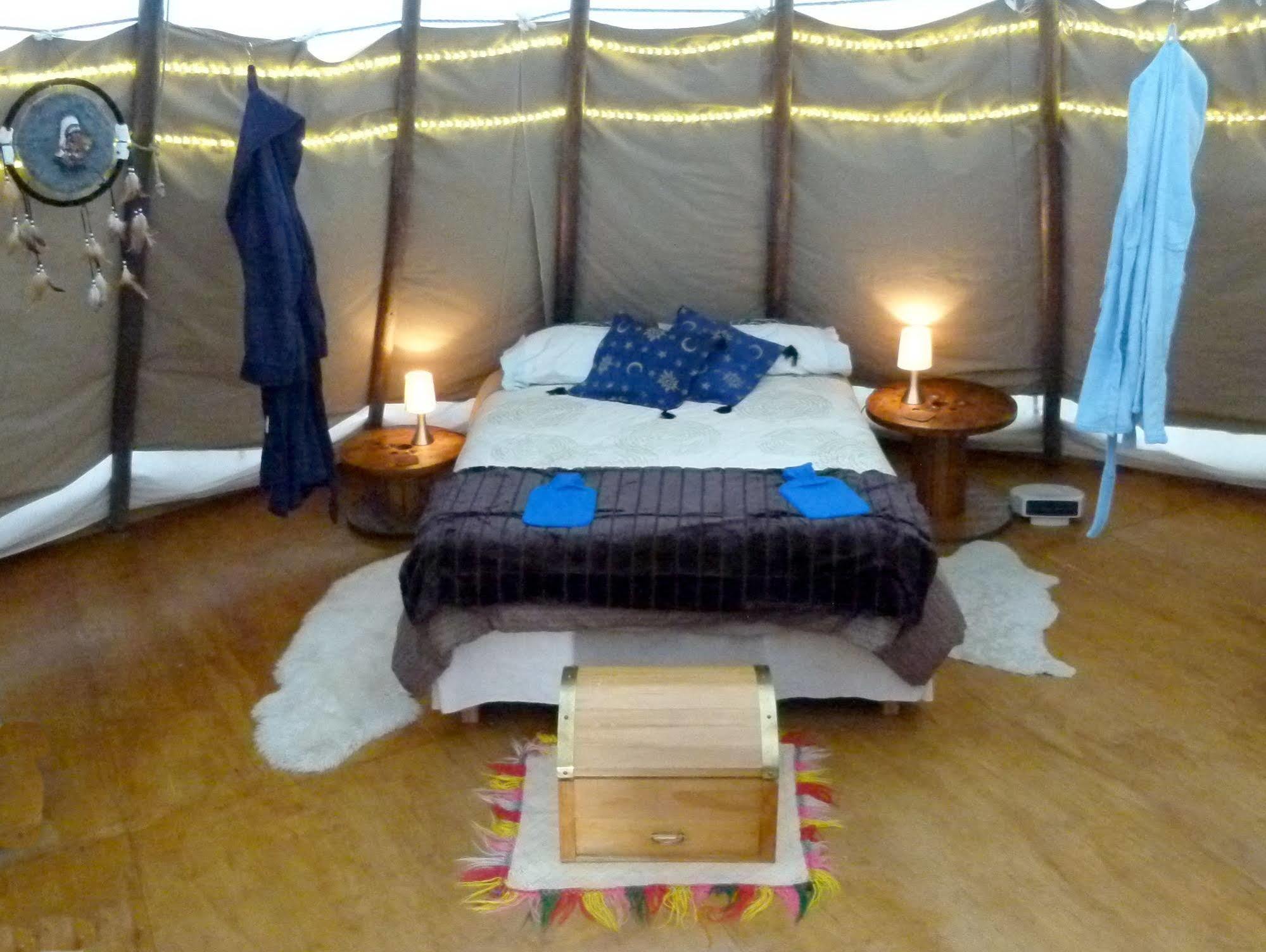 Wacky Stays - Unique Farm-Stay Glamping Rentals, Free Animal Feeding Tours Kaikoura Dış mekan fotoğraf