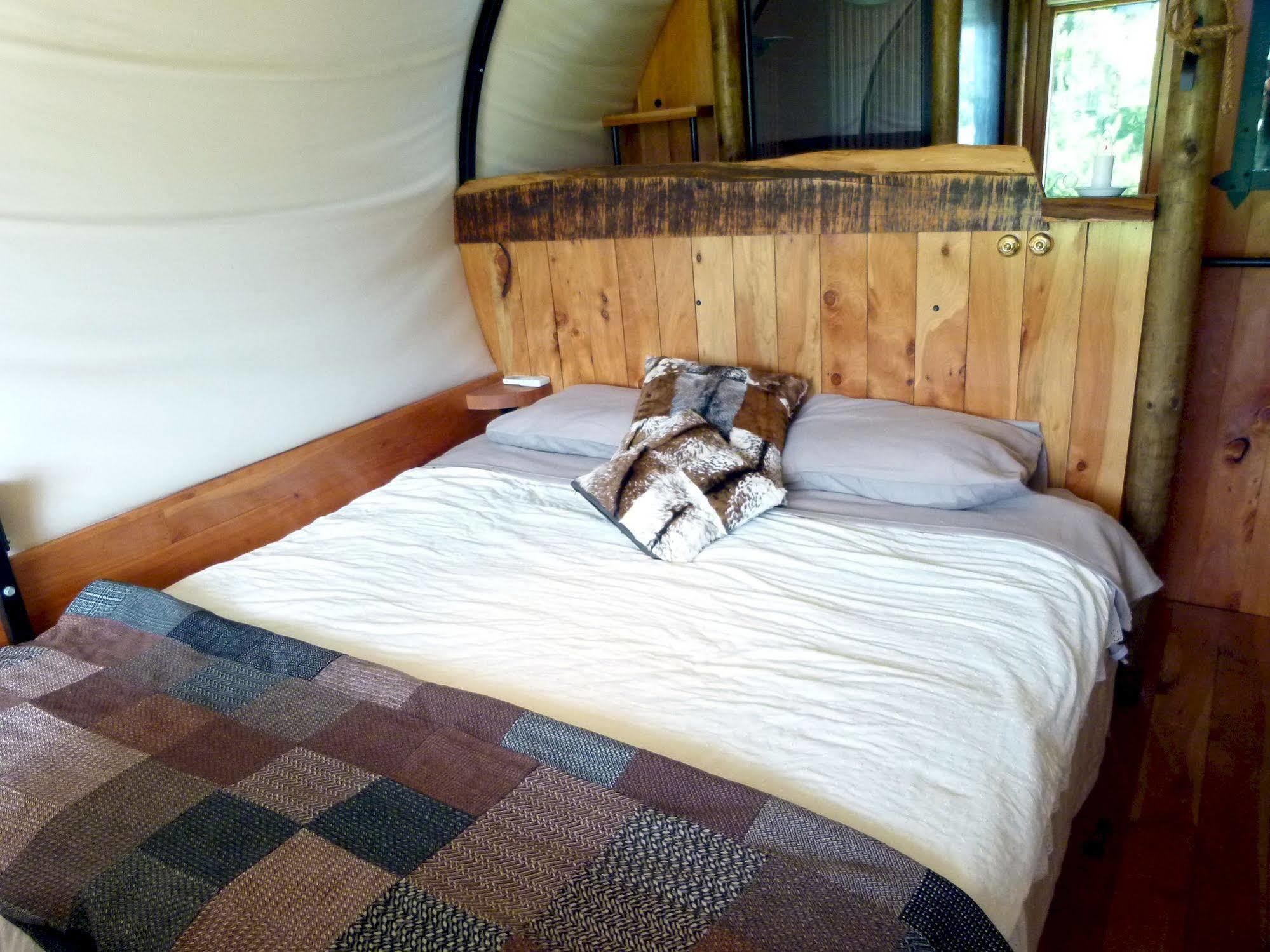 Wacky Stays - Unique Farm-Stay Glamping Rentals, Free Animal Feeding Tours Kaikoura Dış mekan fotoğraf